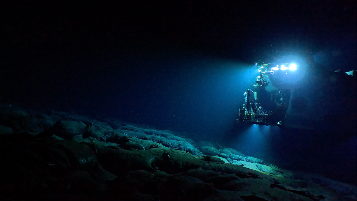 Alvin the ocean robot shines a light on the sea floor